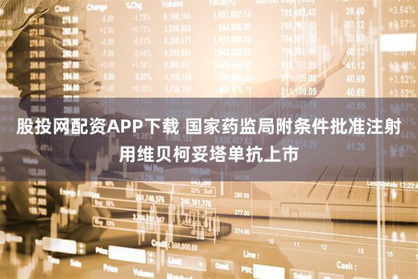股投网配资APP下载 国家药监局附条件批准注射用维贝柯妥塔单抗上市