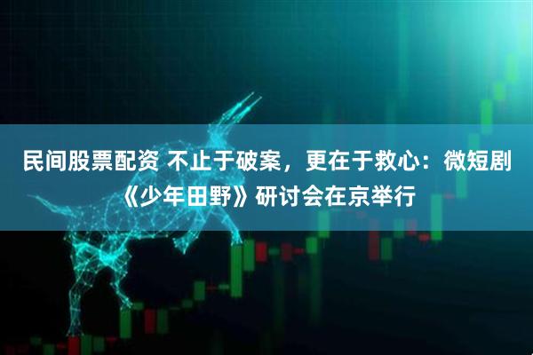 民间股票配资 不止于破案，更在于救心：微短剧《少年田野》研讨会在京举行