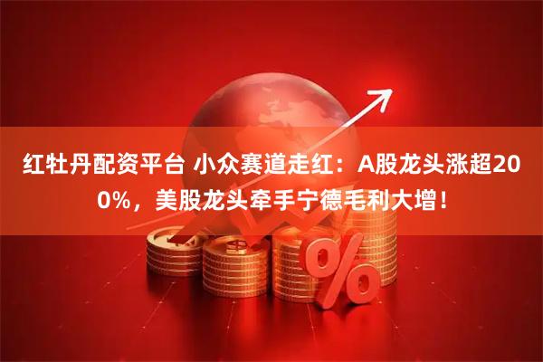 红牡丹配资平台 小众赛道走红：A股龙头涨超200%，美股龙头牵手宁德毛利大增！