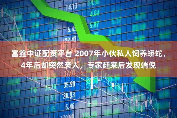 富鑫中证配资平台 2007年小伙私人饲养蟒蛇，4年后却突然袭人，专家赶来后发现端倪