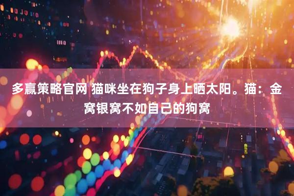 多赢策略官网 猫咪坐在狗子身上晒太阳。猫：金窝银窝不如自己的狗窝